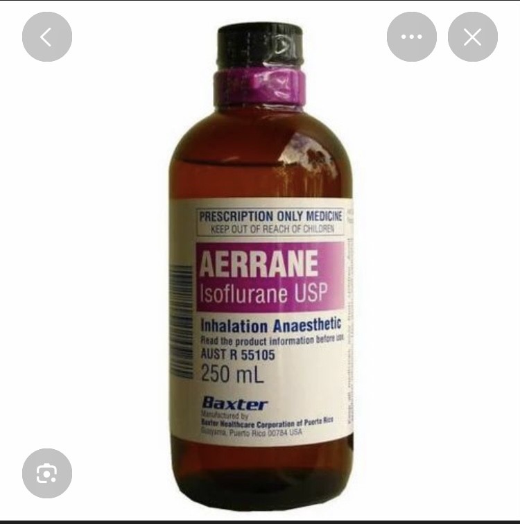 AERRANE 100% 
