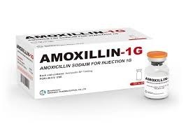 AMOXICILLINE TRIHYDRATE 1 g  pdre pr sol. inj. 