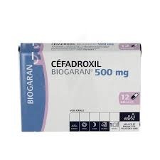 CEFADROXIL 500 mg gelule. bte/10