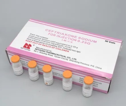 CEFTRIAXONE 1 g pdre p sol. inj. IM/IV + solv Bte/50